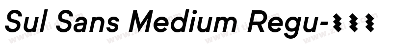Sul Sans Medium Regu字体转换